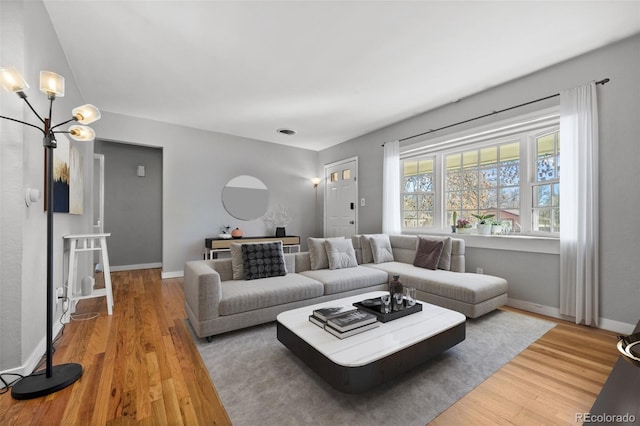 living room with baseboards and wood finished floors