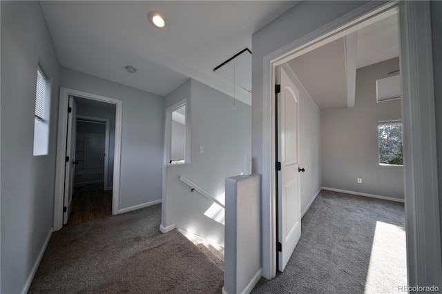 185 S Hoyt St, Lakewood, CO 80226 - photo 26