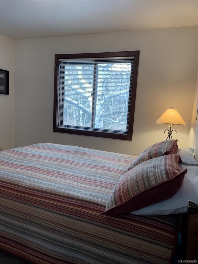 224 Creekside Dr Unit B, Frisco, CO 80443 - bedroom with multiple windows