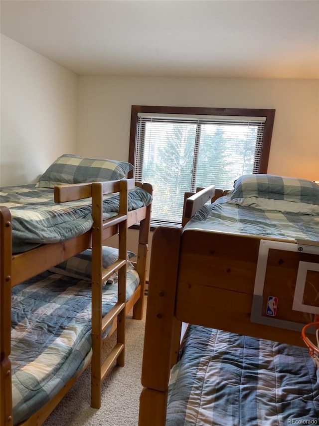 224 Creekside Dr Unit B, Frisco, CO 80443 - view of carpeted bedroom
