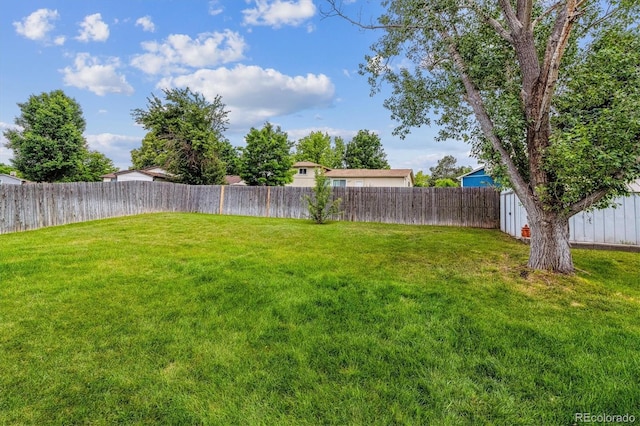 6508 S Garland Way, Littleton, CO 80123 - view of fenced backyard
