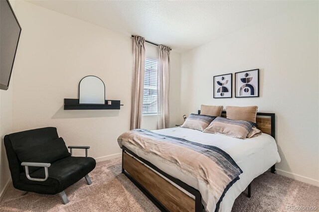 1005 Ryland Rd, Brighton, CO 80603 - photo 12