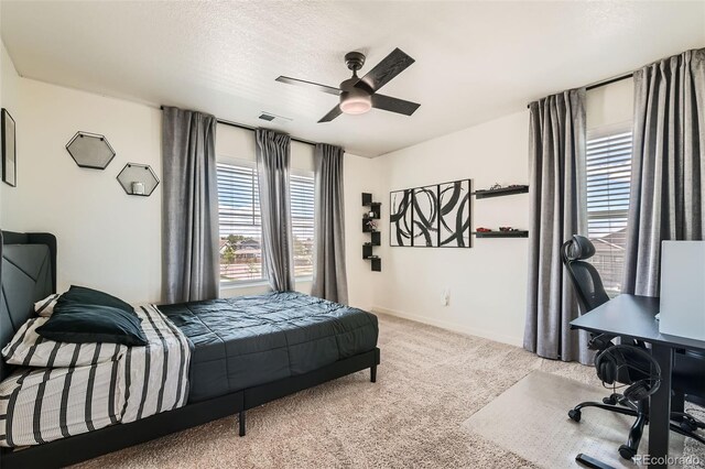 1005 Ryland Rd, Brighton, CO 80603 - photo 20