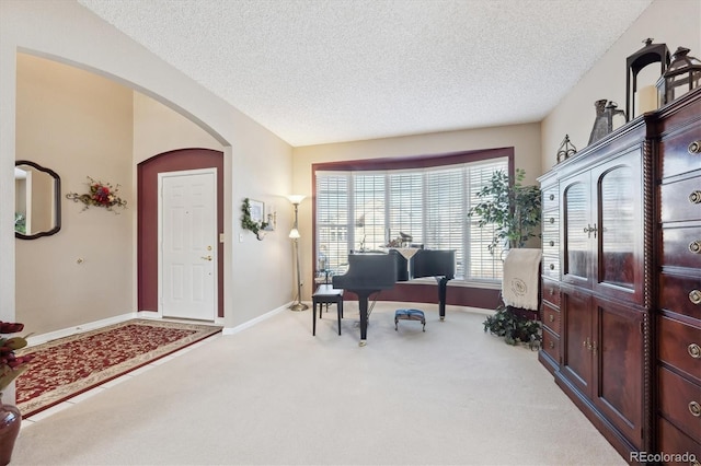 carpeted office space with a textured ceiling