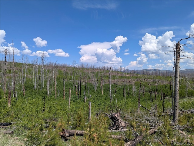 1960 Hilda Ln, Fort Garland, CO 81133