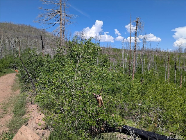 1960 Hilda Ln, Fort Garland, CO 81133