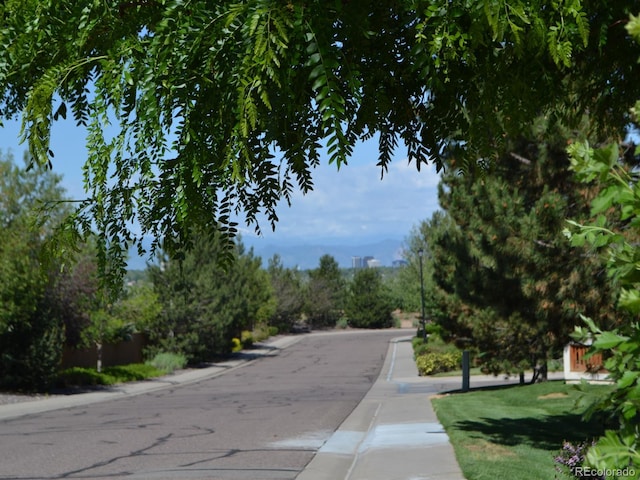 view of street with curbs and sidewalks