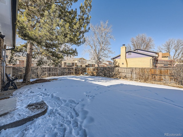 view of yard covered in snow