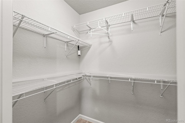 18672 E Chaffee Pl, Denver, CO 80249 - view of spacious closet