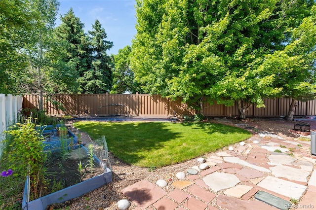 18672 E Chaffee Pl, Denver, CO 80249 - fenced backyard with a garden