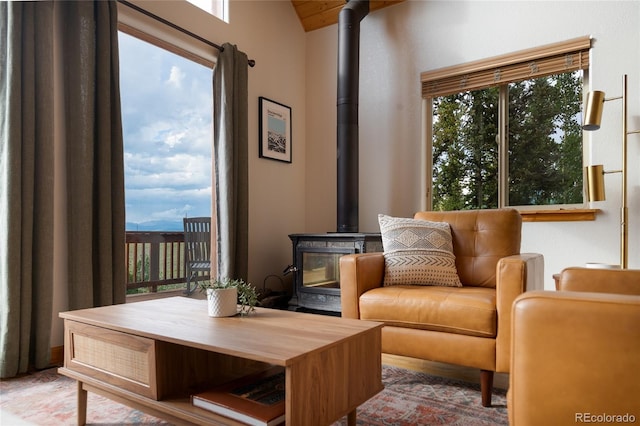 sitting room featuring a wood stove and a wealth of natural light