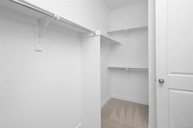 5128 Preserve Pl, Firestone, CO 80504 - walk in closet with light colored carpet