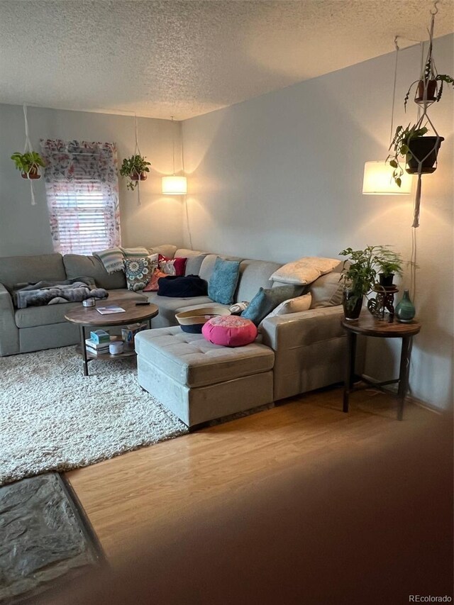 living area with a textured ceiling and wood finished floors