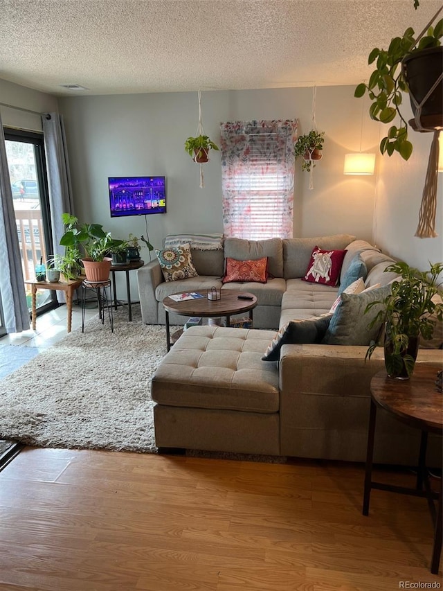 living room featuring a textured ceiling and wood finished floors