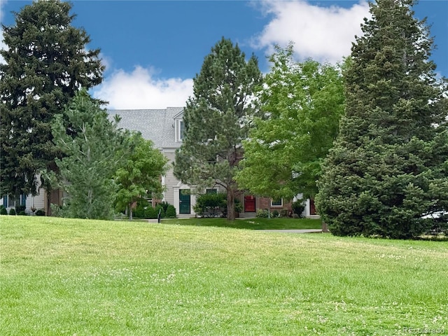 5708 E 10th Ave, Denver, CO 80220 - photo 40