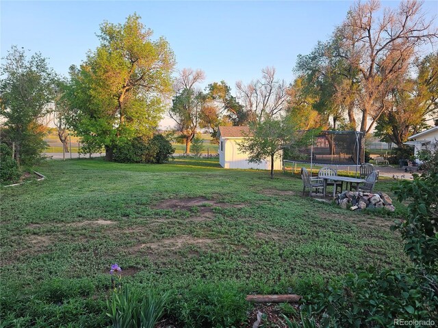 24797 Pleasant Hill Ave, Galeton, CO 80622 - view of green lawn