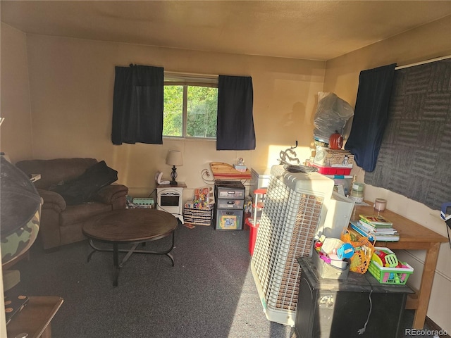24797 Pleasant Hill Ave, Galeton, CO 80622 - living area with carpet floors