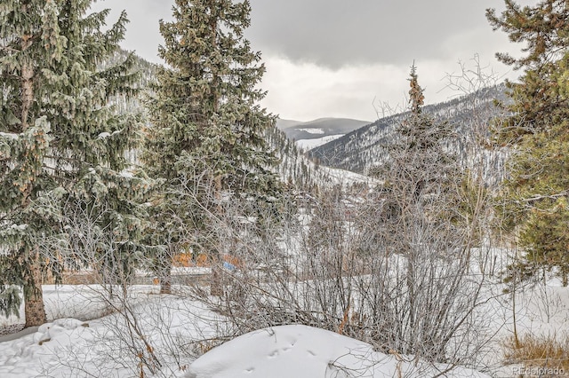 property view of mountains