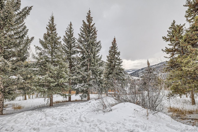 yard covered in snow featuring a mountain view