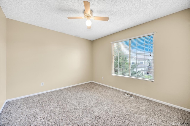 8118 Ravenel Dr, Colorado Springs, CO 80920 - photo 28