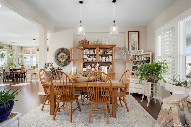dining room featuring wood finished floors