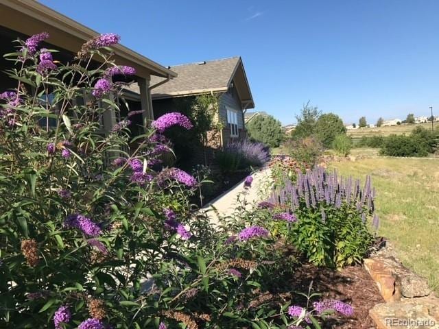 7186 Weaver Cir, Castle Rock, CO 80104 - view of yard