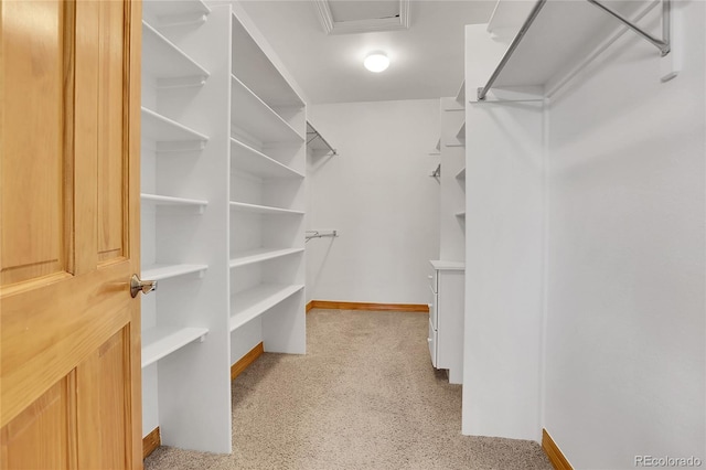 view of spacious closet