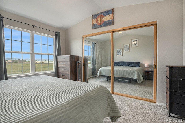 8259 S Fillmore Cir, Centennial, CO 80122 - bedroom featuring lofted ceiling, carpet, and a closet