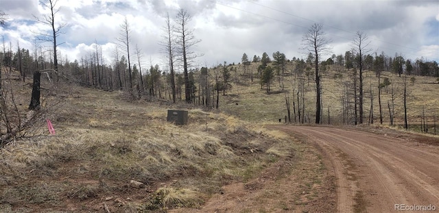 LOT179 Duffy Ln, Fort Garland, CO 81133 - photo 3
