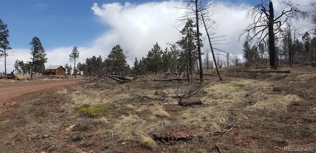 LOT179 Duffy Ln, Fort Garland, CO 81133 - photo 4
