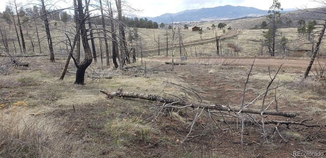 LOT179 Duffy Ln, Fort Garland, CO 81133 - photo 8