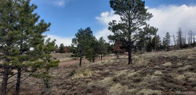 LOT179 Duffy Ln, Fort Garland, CO 81133 - photo 10