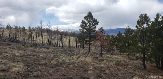 LOT179 Duffy Ln, Fort Garland, CO 81133 - photo 13