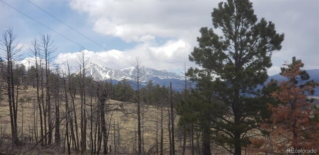 LOT179 Duffy Ln, Fort Garland, CO 81133 - photo 14