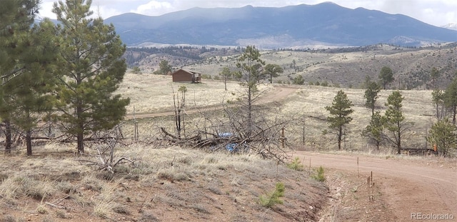 LOT179 Duffy Ln, Fort Garland, CO 81133 - photo 15
