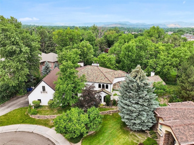 3391 Oak St, Wheat Ridge, CO 80033 - photo 48