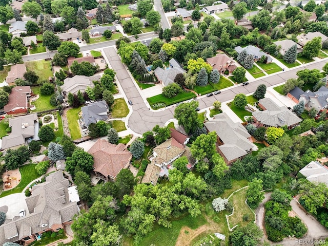 3391 Oak St, Wheat Ridge, CO 80033 - photo 49