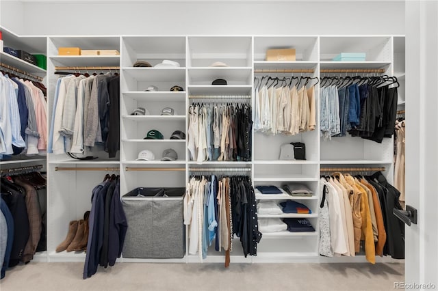 4868 Hogback Ridge Rd, Morrison, CO 80465 - view of spacious closet