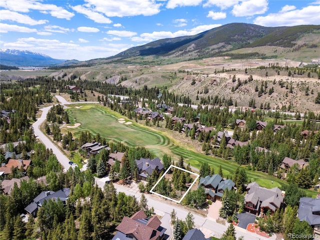 281 Elk Cir, Dillon, CO 80435
