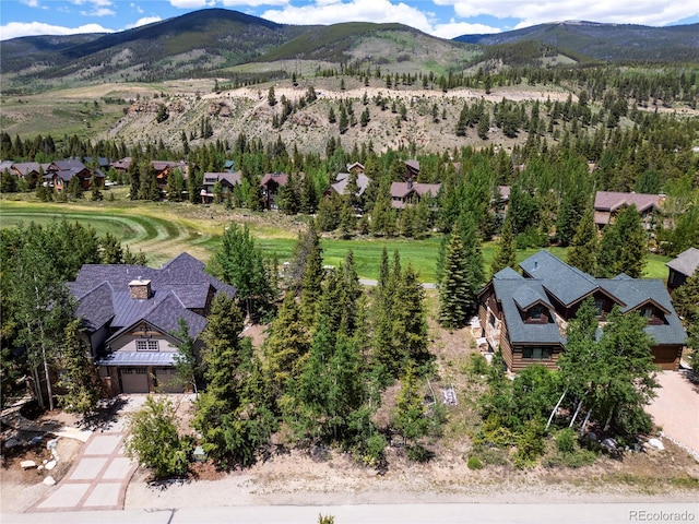 281 Elk Cir, Dillon, CO 80435