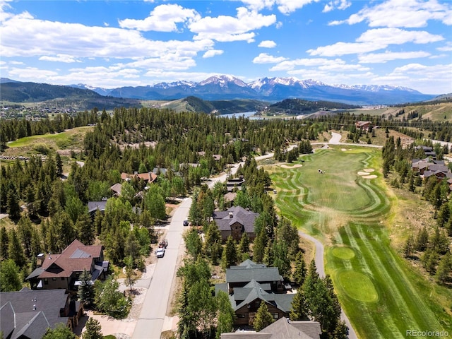281 Elk Cir, Dillon, CO 80435