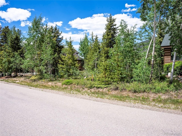281 Elk Cir, Dillon, CO 80435