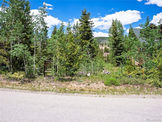 281 Elk Cir, Dillon, CO 80435