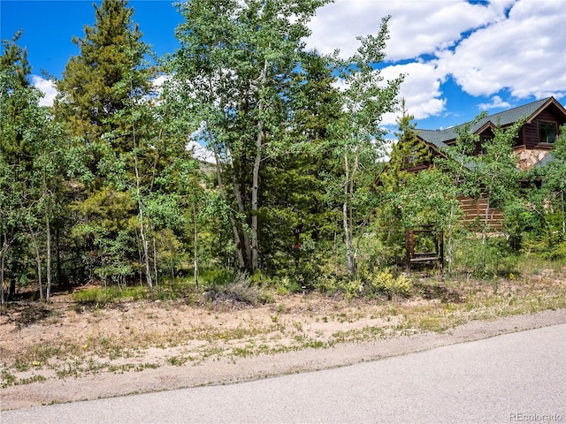 281 Elk Cir, Dillon, CO 80435