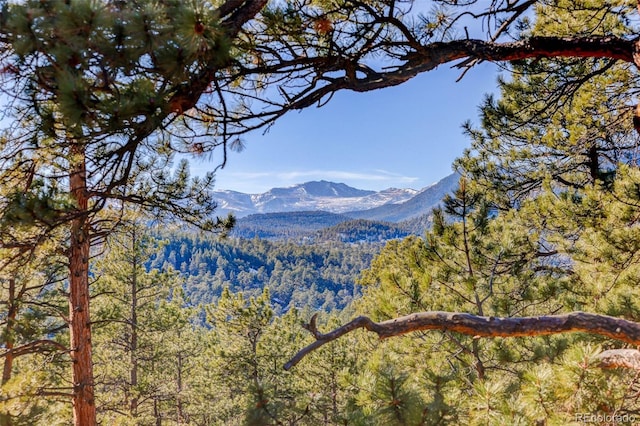 property view of mountains