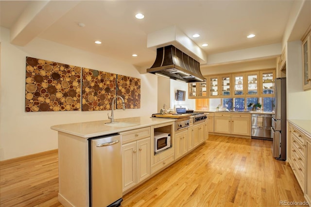 kitchen with sink, light wood-type flooring, appliances with stainless steel finishes, and premium range hood