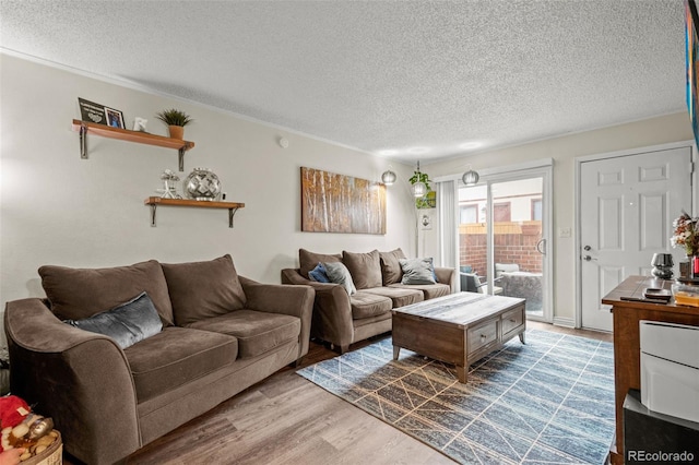 living room with hardwood / wood-style floors and a textured ceiling