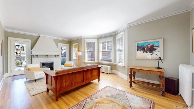 living room featuring a large fireplace, baseboards, light wood-type flooring, radiator heating unit, and crown molding