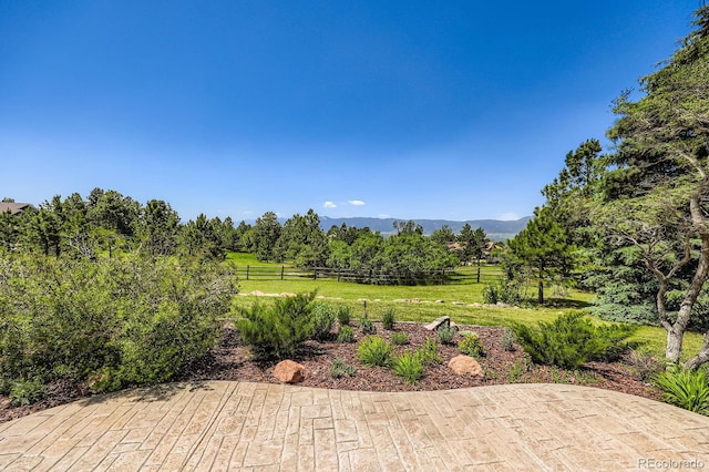 18680 Knollwood Blvd, Monument, CO 80132 - photo 27