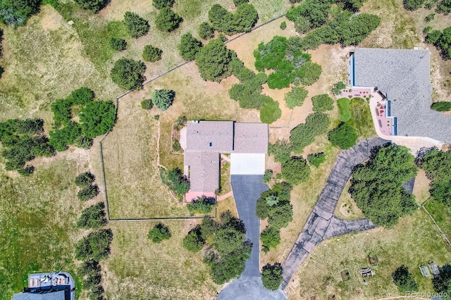 18680 Knollwood Blvd, Monument, CO 80132 - photo 32
